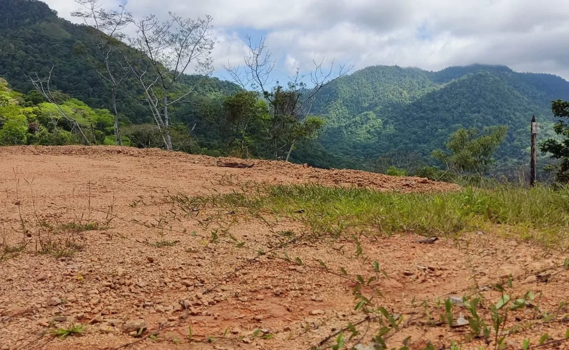 PROPERTY WITH MOUNTAIN VIEW IN TRES RIOS – 2.47 ACRES, photo 10