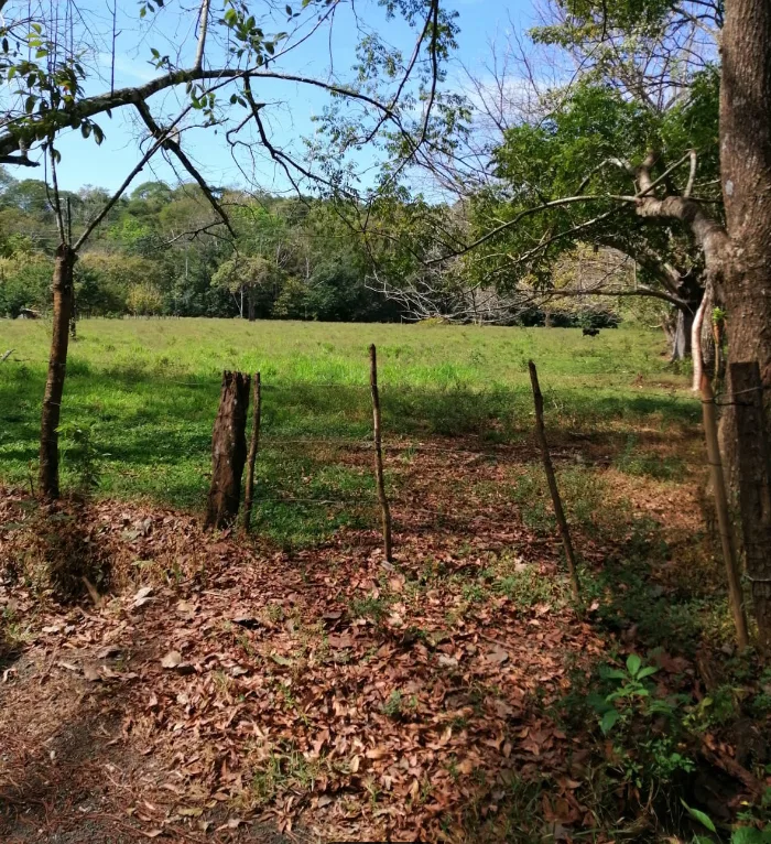 ¡Oportunidad Única en el Paraíso! Terreno en Venta en Bejuco, Nandayure – Guanacaste