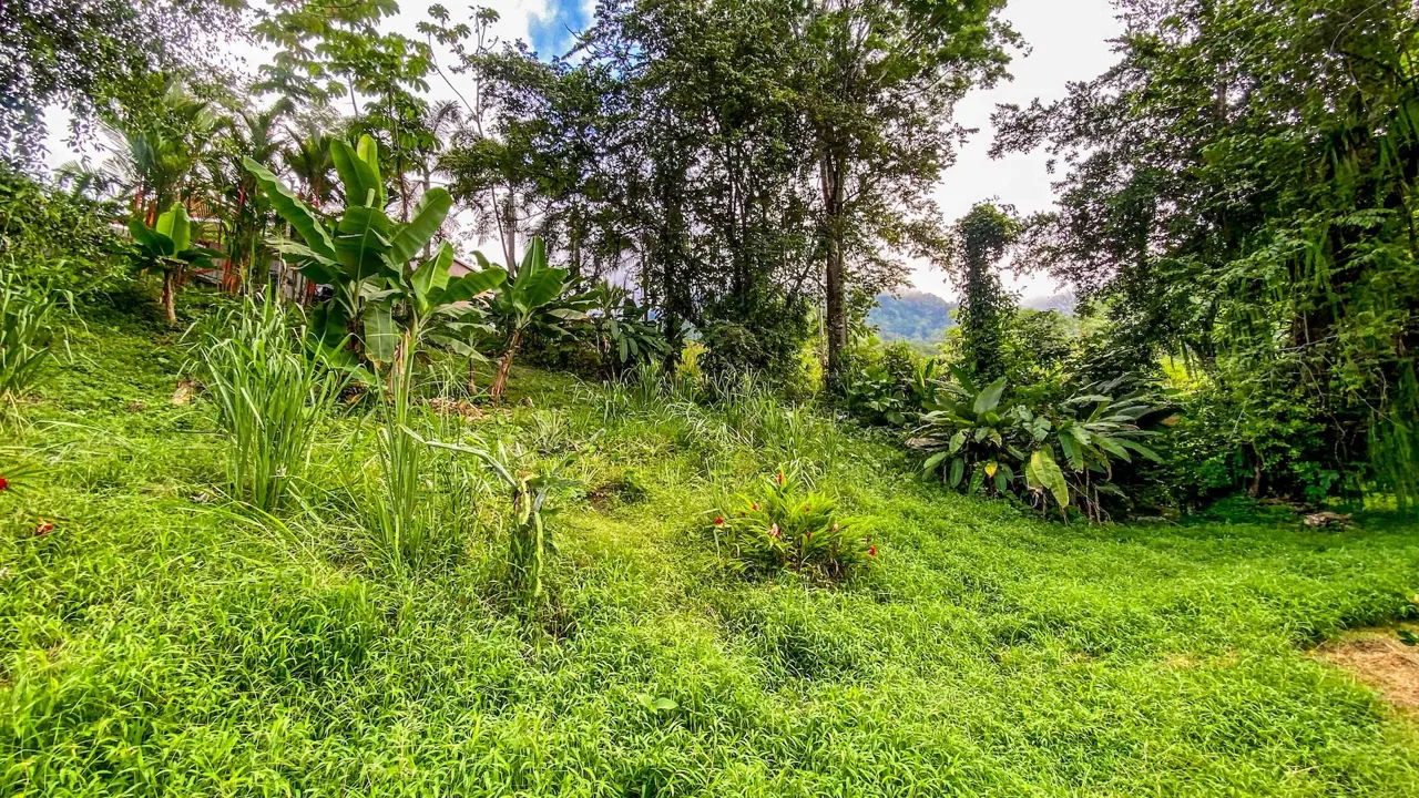 BUILDING PROPERTY WITH MOUNTAIN VIEWS IN A GATED COMMUNITY, IN OJOCHAL – 0.22 ACRES, photo 12