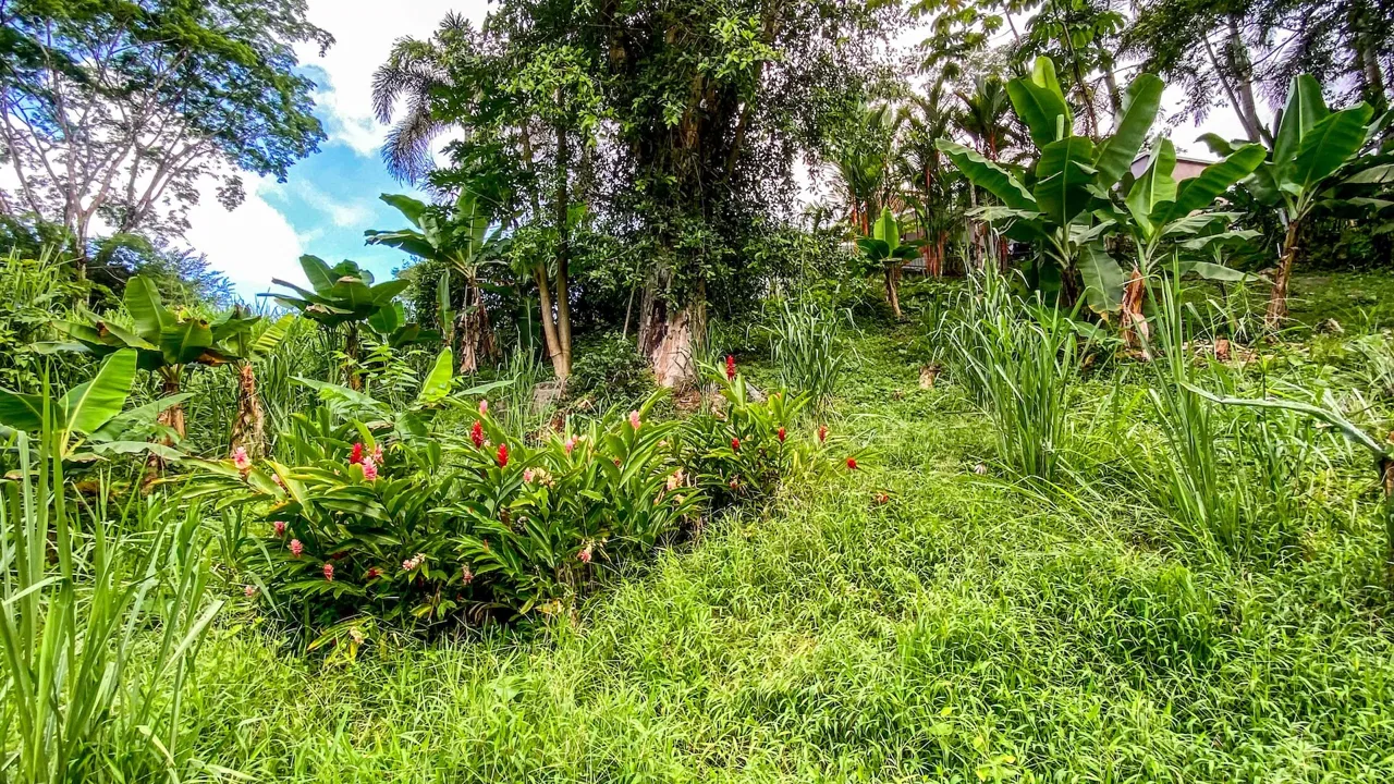 BUILDING PROPERTY WITH MOUNTAIN VIEWS IN A GATED COMMUNITY, IN OJOCHAL – 0.22 ACRES, photo 13