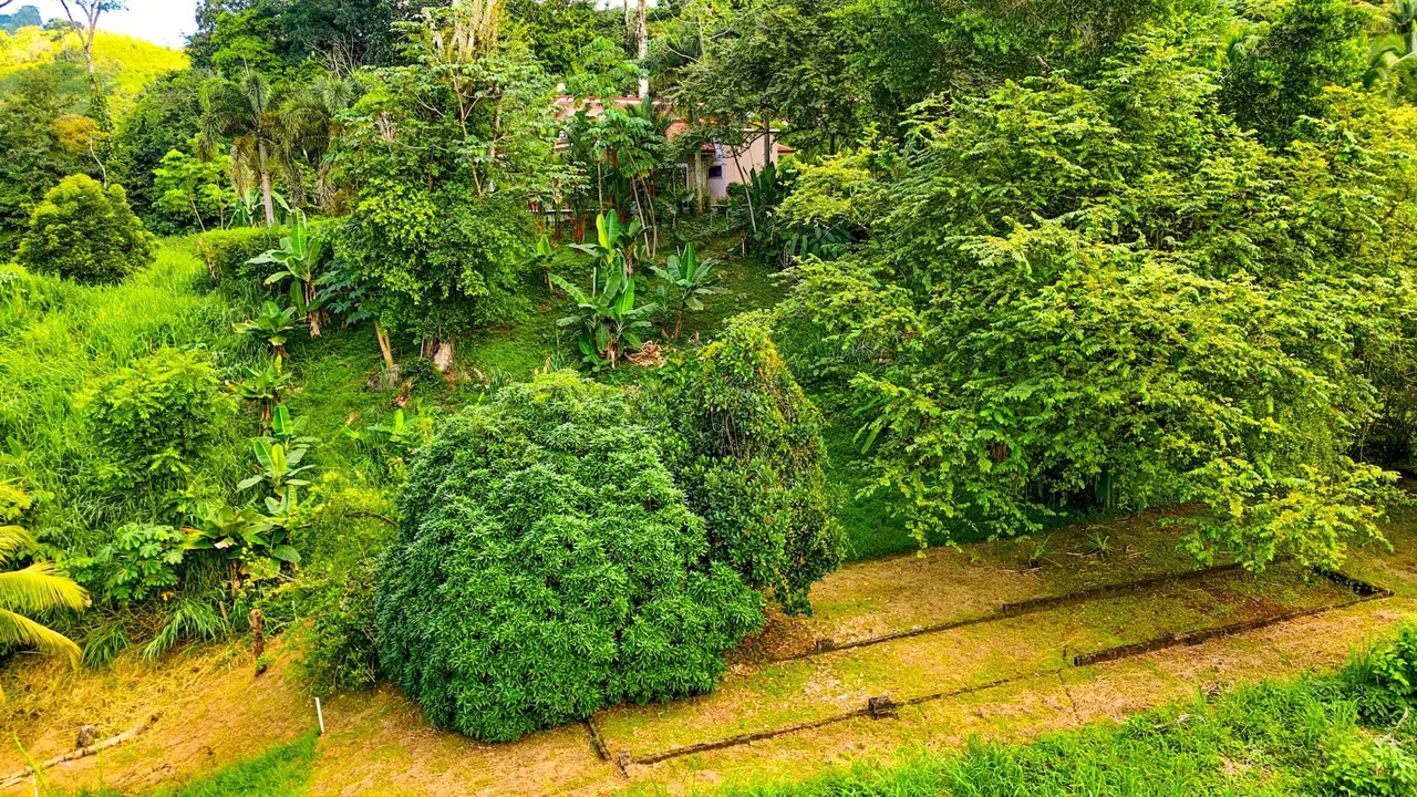 BUILDING PROPERTY WITH MOUNTAIN VIEWS IN A GATED COMMUNITY, IN OJOCHAL – 0.22 ACRES, photo 4