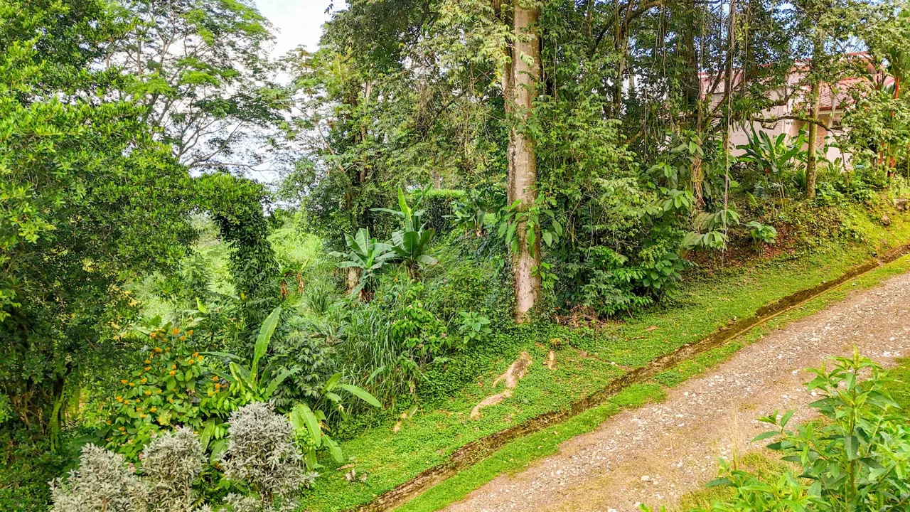 BUILDING PROPERTY WITH MOUNTAIN VIEWS IN A GATED COMMUNITY, IN OJOCHAL – 0.22 ACRES, photo 5
