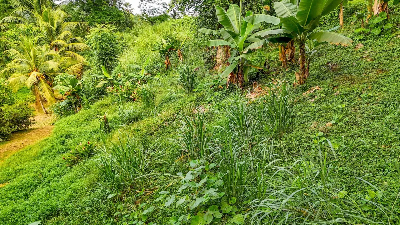 BUILDING PROPERTY WITH MOUNTAIN VIEWS IN A GATED COMMUNITY, IN OJOCHAL – 0.22 ACRES, photo 8