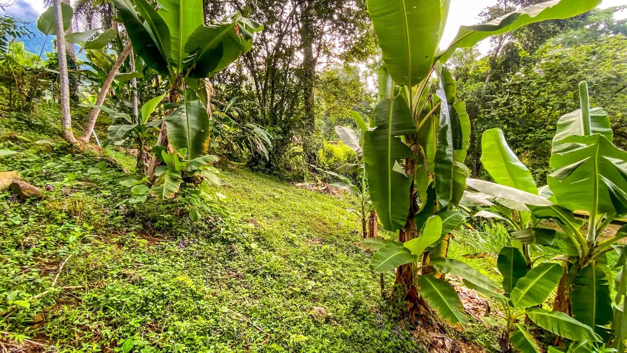BUILDING PROPERTY WITH MOUNTAIN VIEWS IN A GATED COMMUNITY, IN OJOCHAL – 0.22 ACRES, photo 9