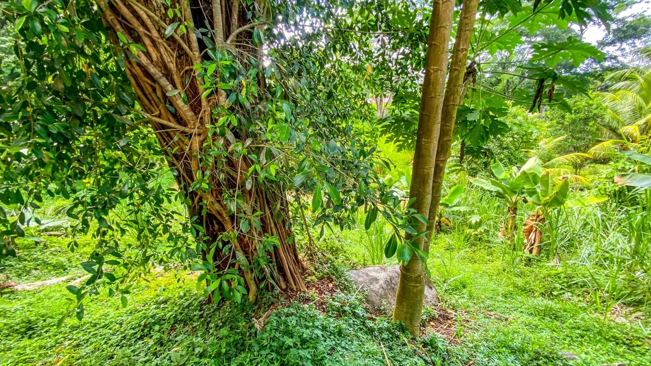 BUILDING PROPERTY WITH MOUNTAIN VIEWS IN A GATED COMMUNITY, IN OJOCHAL – 0.22 ACRES, photo 10