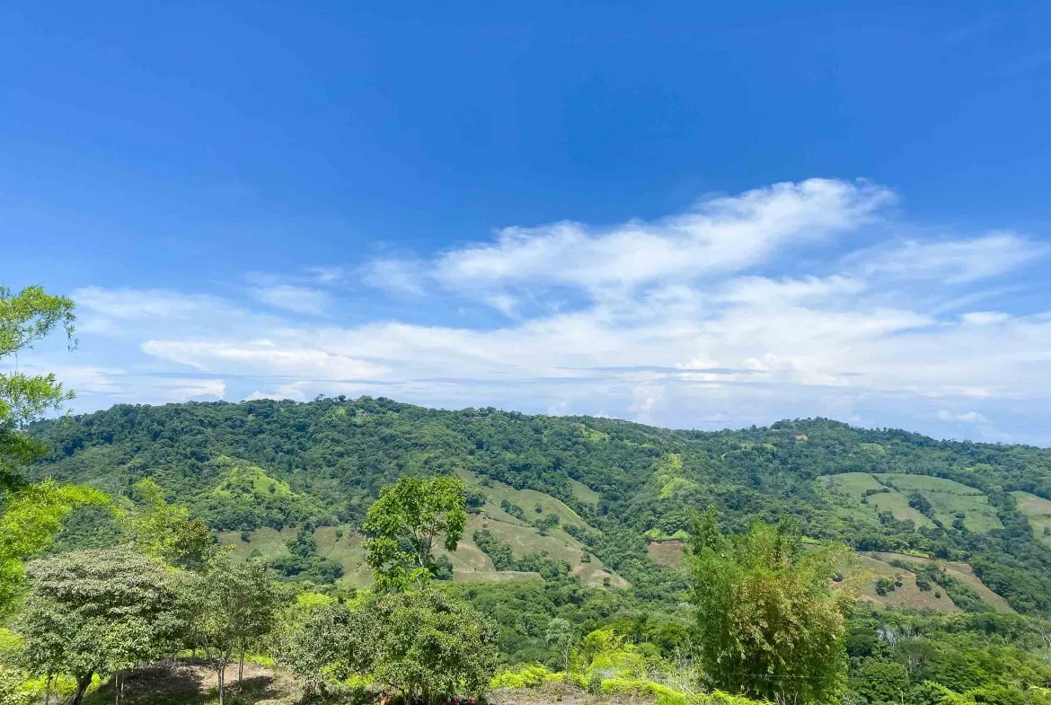 OCEAN AND MOUNTAIN VIEW PEACEFUL LOT – 5.6 ACRES, photo 2