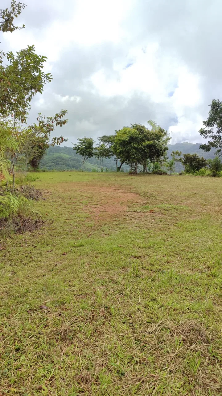 OCEAN AND MOUNTAIN VIEW PEACEFUL LOT – 5.6 ACRES, photo 11