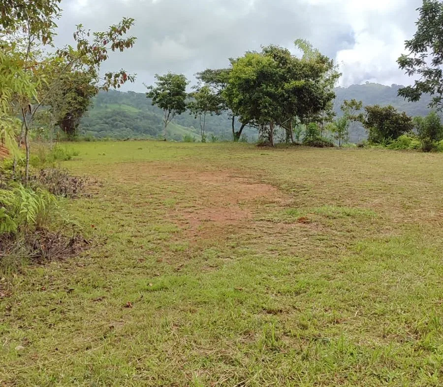 OCEAN AND MOUNTAIN VIEW PEACEFUL LOT – 5.6 ACRES, photo 12