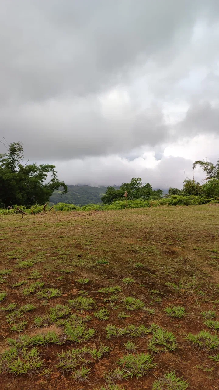 OCEAN AND MOUNTAIN VIEW PEACEFUL LOT – 5.6 ACRES, photo 13