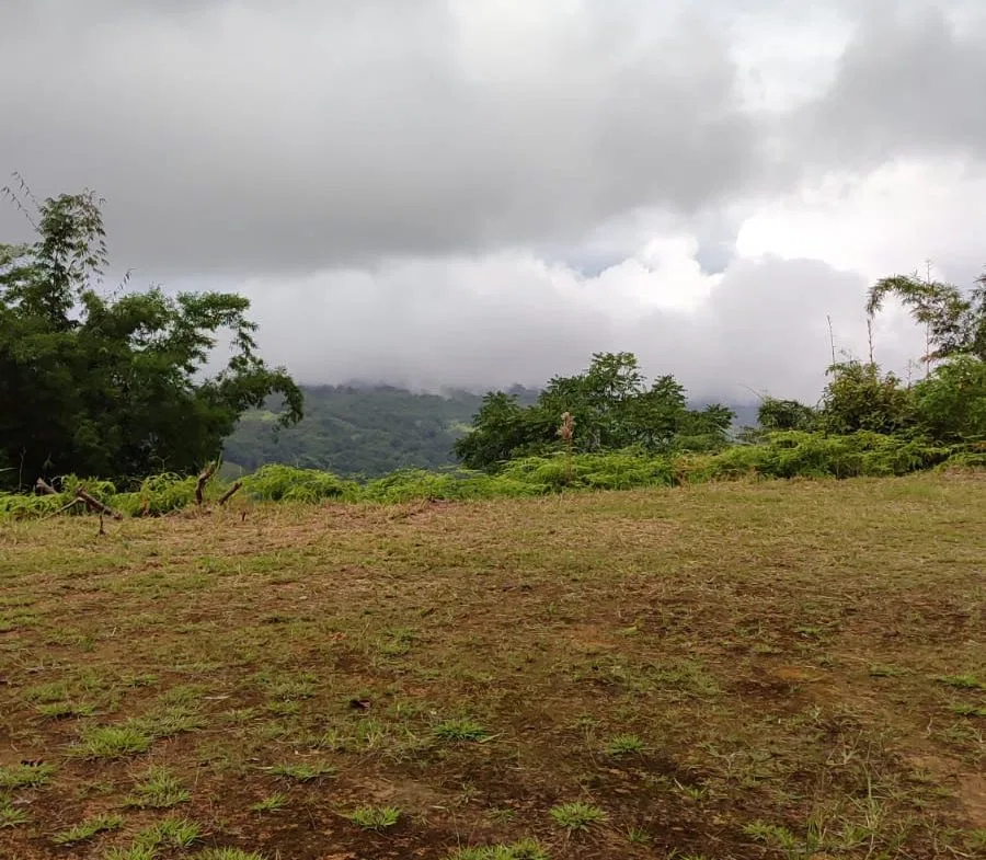 OCEAN AND MOUNTAIN VIEW PEACEFUL LOT – 5.6 ACRES, photo 14