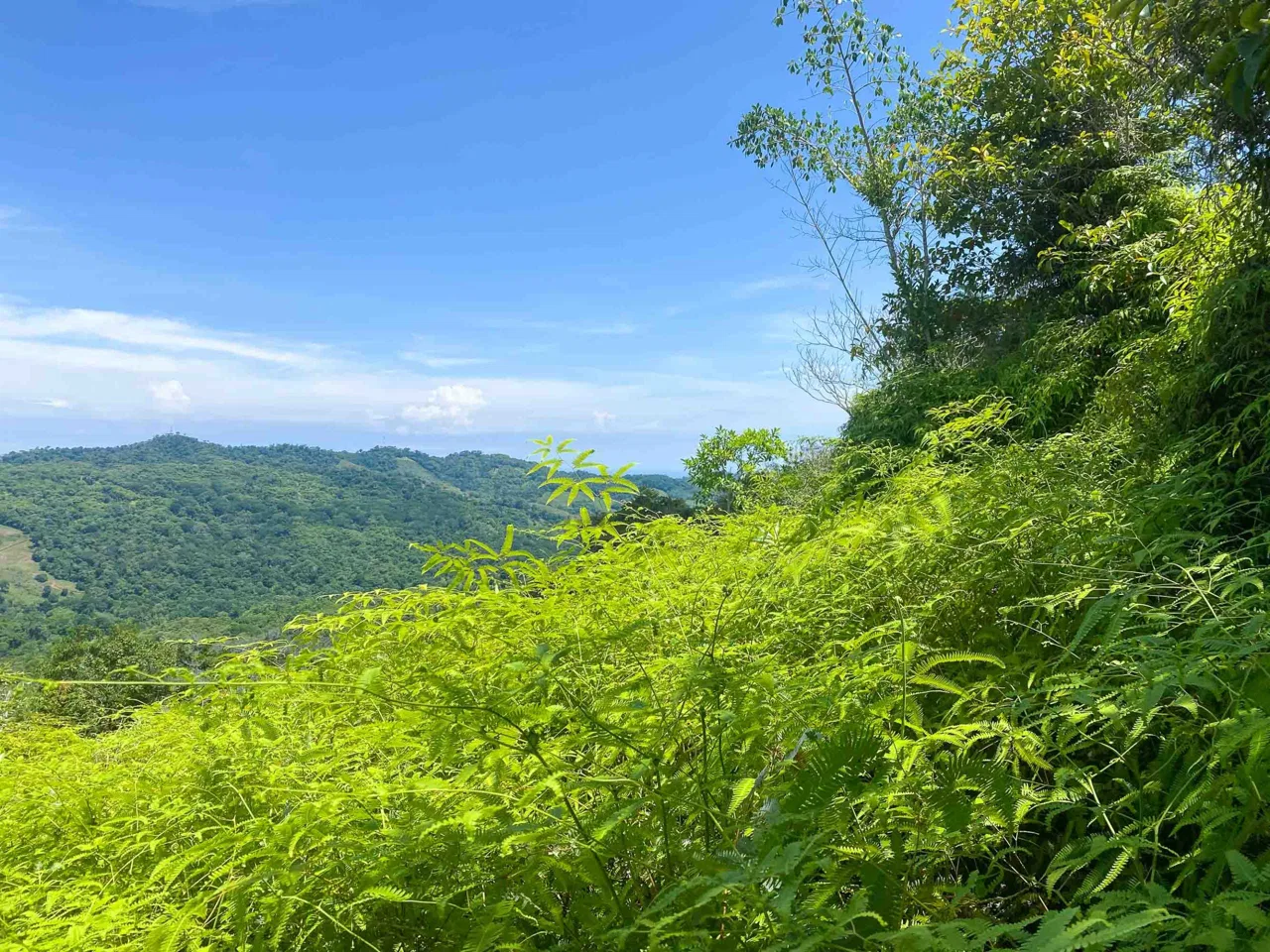 OCEAN AND MOUNTAIN VIEW PEACEFUL LOT – 5.6 ACRES, photo 17