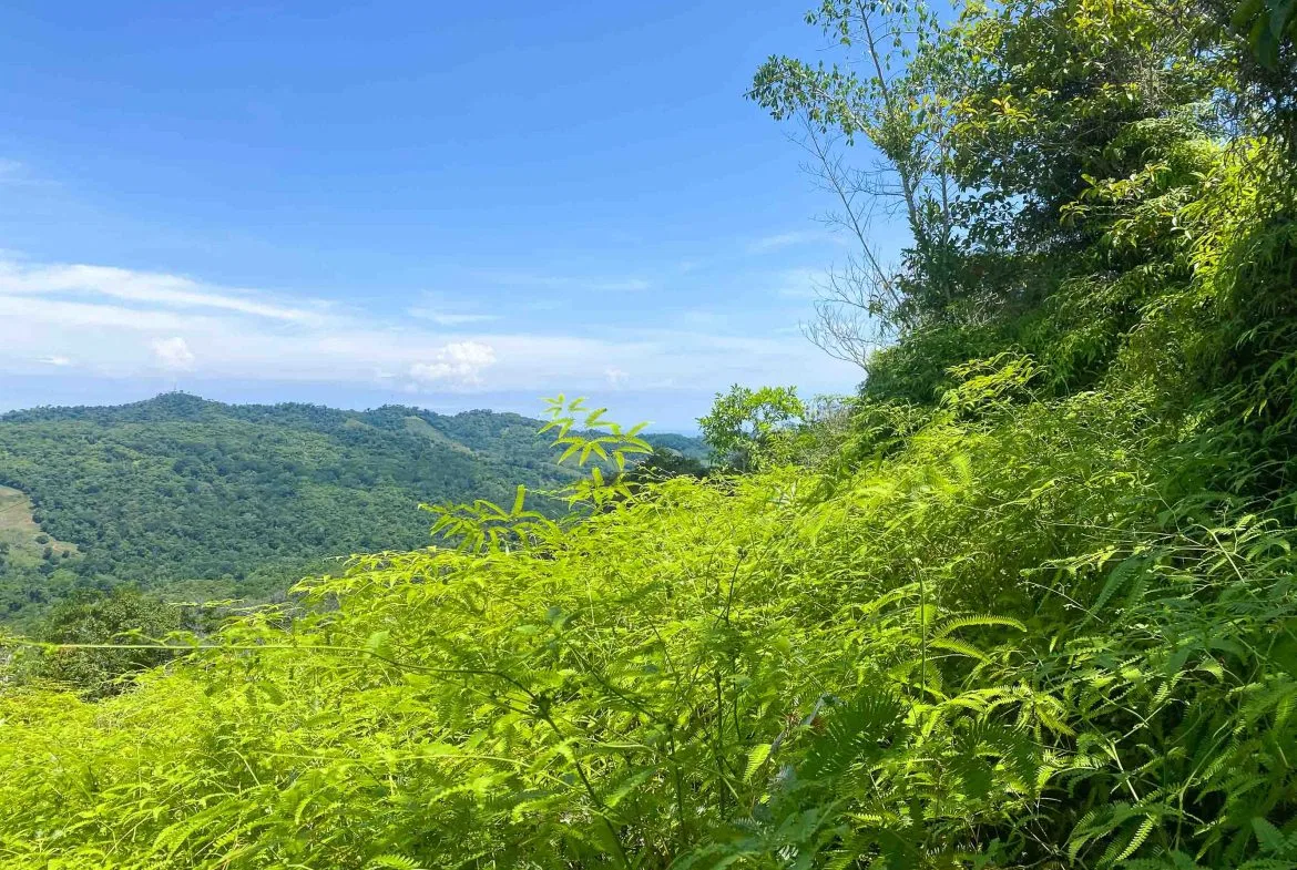 OCEAN AND MOUNTAIN VIEW PEACEFUL LOT – 5.6 ACRES, photo 18