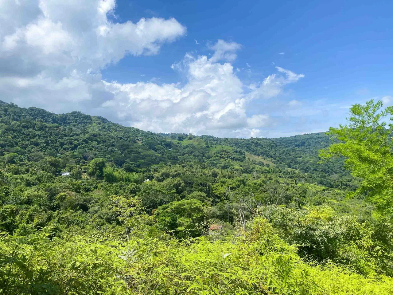 OCEAN AND MOUNTAIN VIEW PEACEFUL LOT – 5.6 ACRES, photo 19