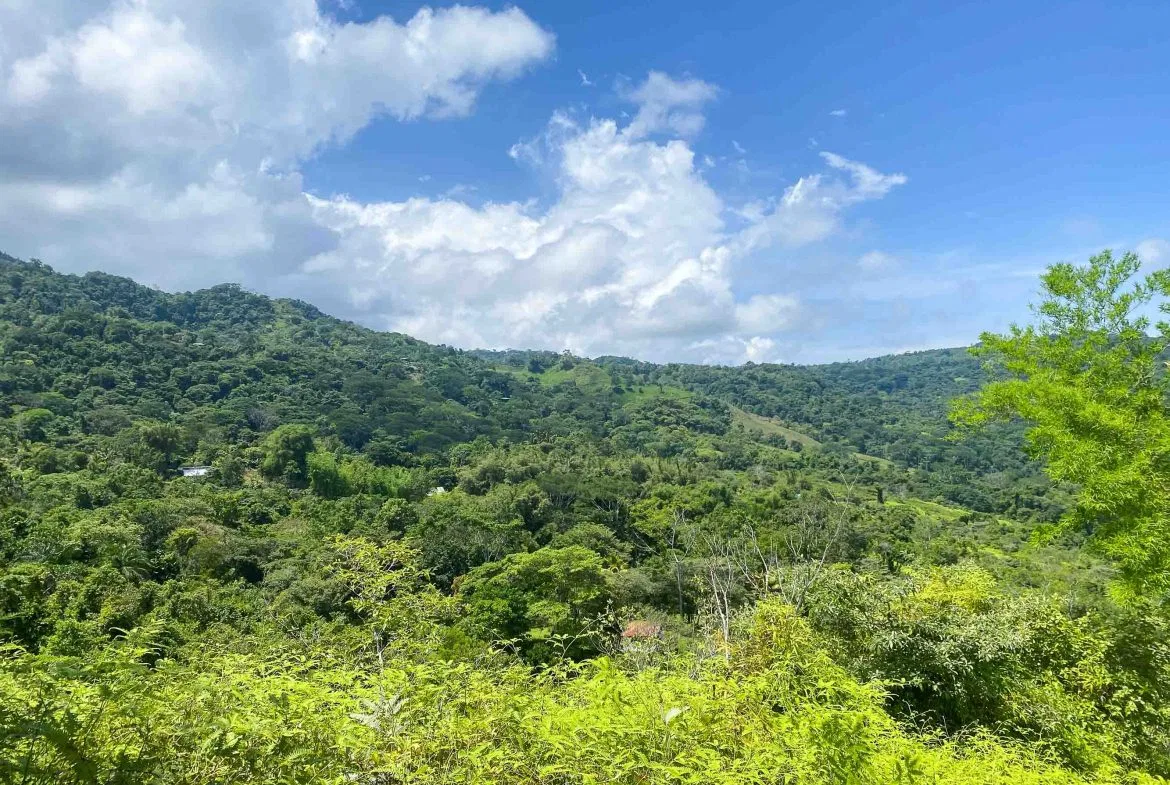 OCEAN AND MOUNTAIN VIEW PEACEFUL LOT – 5.6 ACRES, photo 20