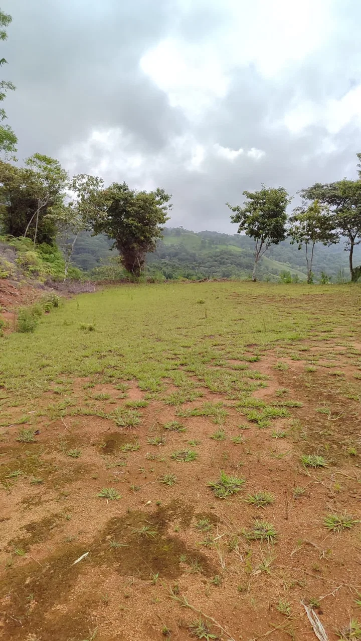 OCEAN AND MOUNTAIN VIEW PEACEFUL LOT – 5.6 ACRES, photo 21