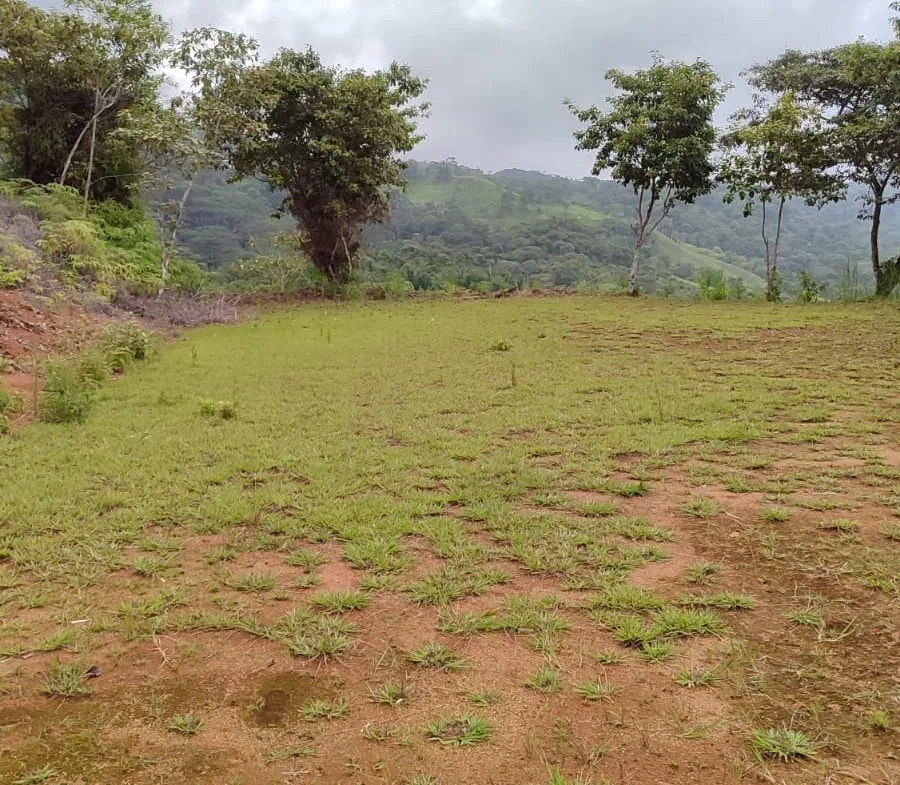 OCEAN AND MOUNTAIN VIEW PEACEFUL LOT – 5.6 ACRES, photo 22