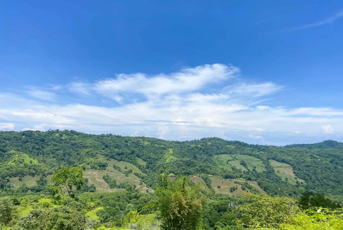 OCEAN AND MOUNTAIN VIEW PEACEFUL LOT – 5.6 ACRES, photo 4