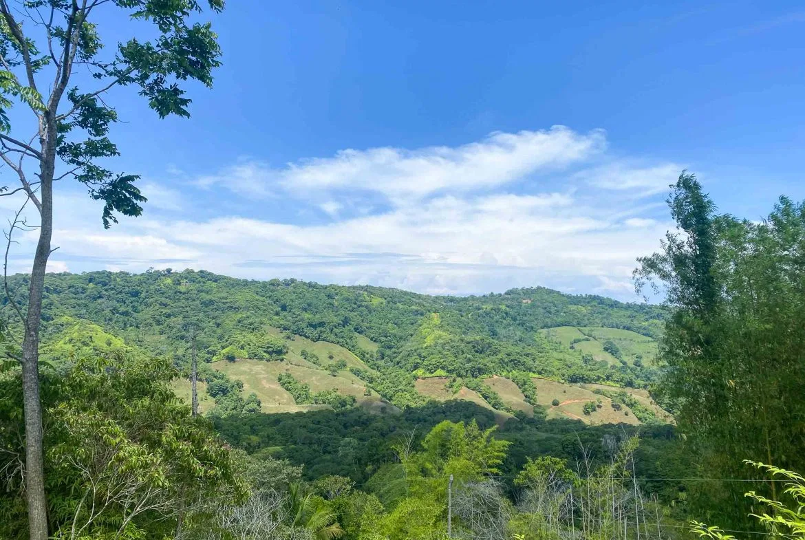 OCEAN AND MOUNTAIN VIEW PEACEFUL LOT – 5.6 ACRES, photo 6