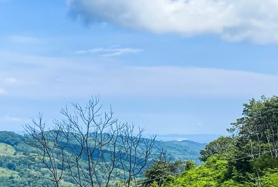 OCEAN AND MOUNTAIN VIEW PEACEFUL LOT – 5.6 ACRES, photo 8