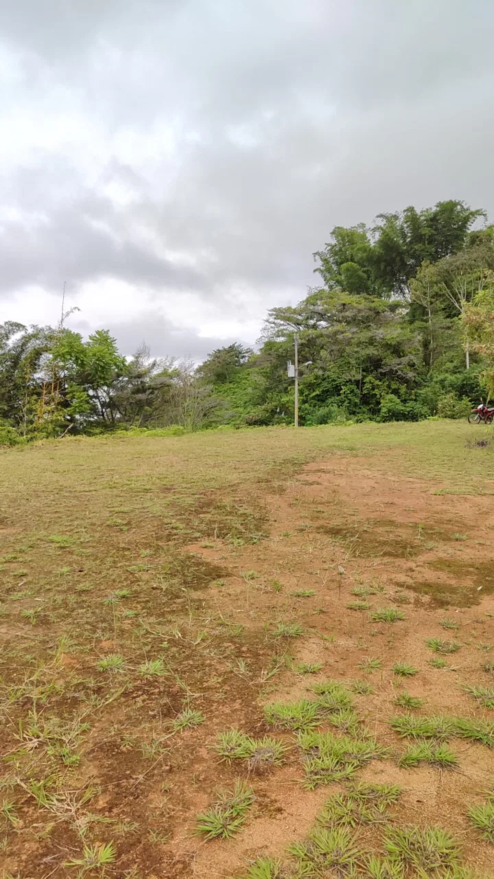 OCEAN AND MOUNTAIN VIEW PEACEFUL LOT – 5.6 ACRES, photo 9