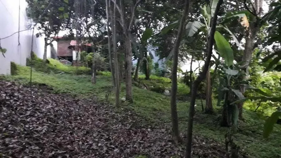 Terreno en Venta en Guadalupe, Goicoechea RAH #211313 - Venta en Goicoechea, photo 2