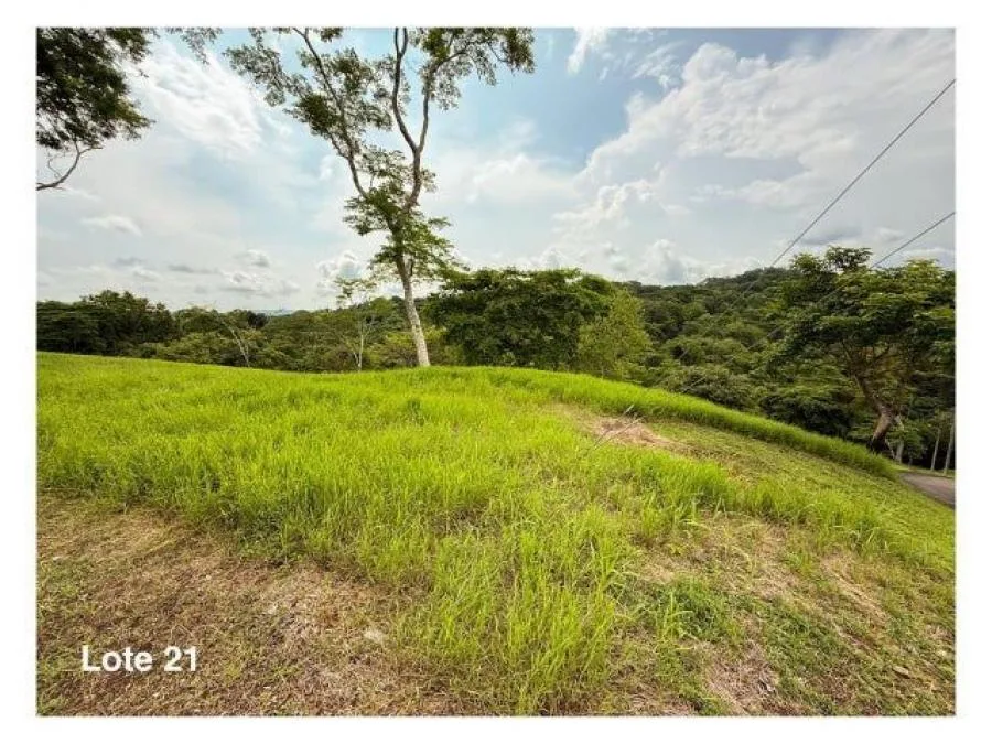 Venta de Lote en Orotina de Alajuela. RAH 26-882 PRECIO REBAJADO - Venta en Orotina