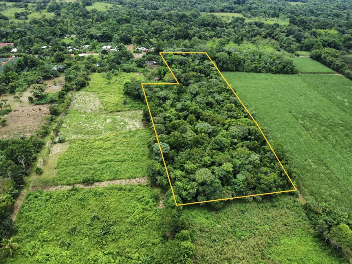 Land for Sale in Volcan de Buenos Aires: 6.9-Acre Jungle Property with Public Road Frontage