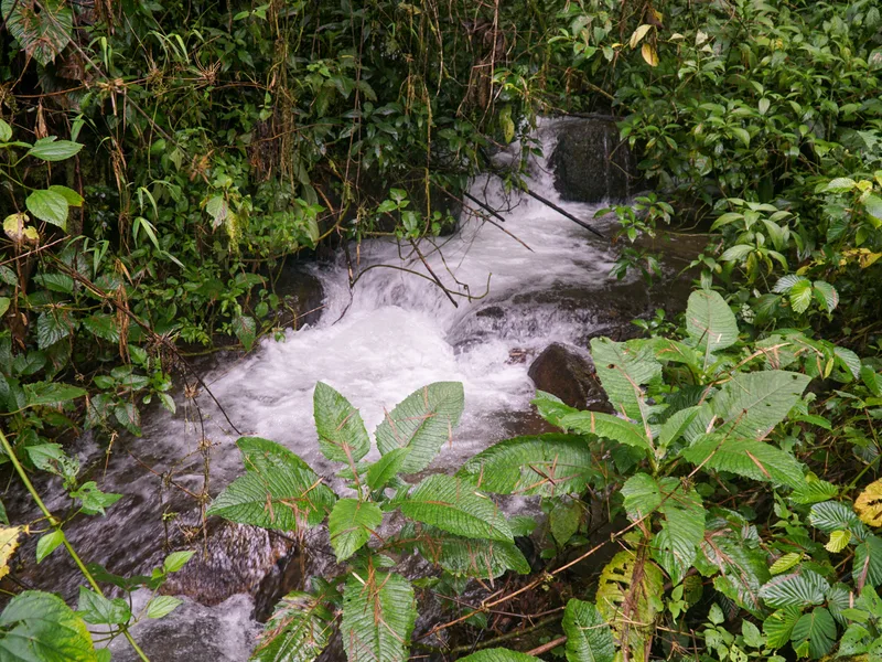 Land For Sale in Perez Zeledon, photo 2