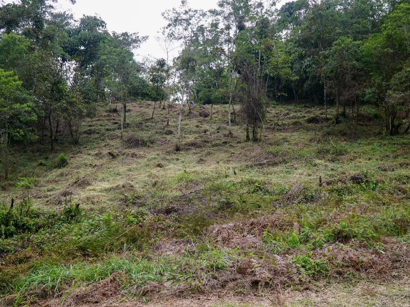 Land For Sale in Perez Zeledon, photo 11
