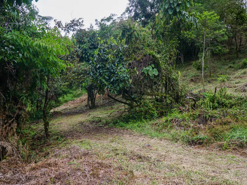 Land For Sale in Perez Zeledon, photo 12