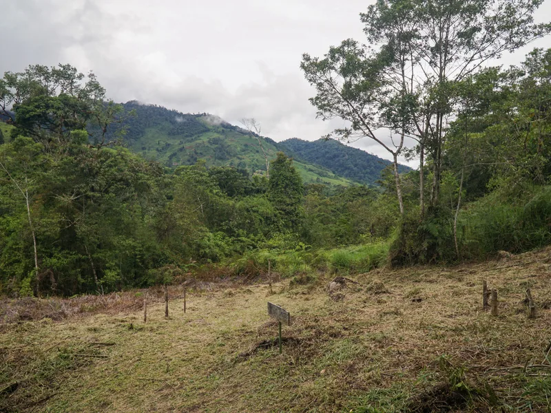 Land For Sale in Perez Zeledon, photo 13