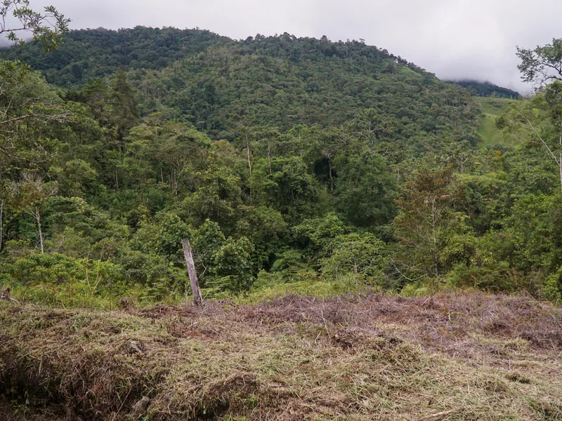Land For Sale in Perez Zeledon, photo 14