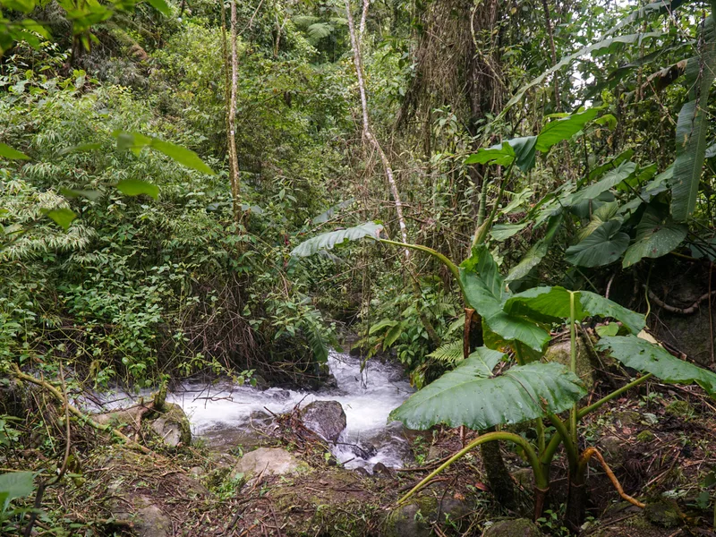 Land For Sale in Perez Zeledon, photo 15