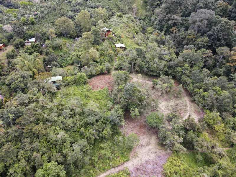 Land For Sale in Perez Zeledon, photo 3