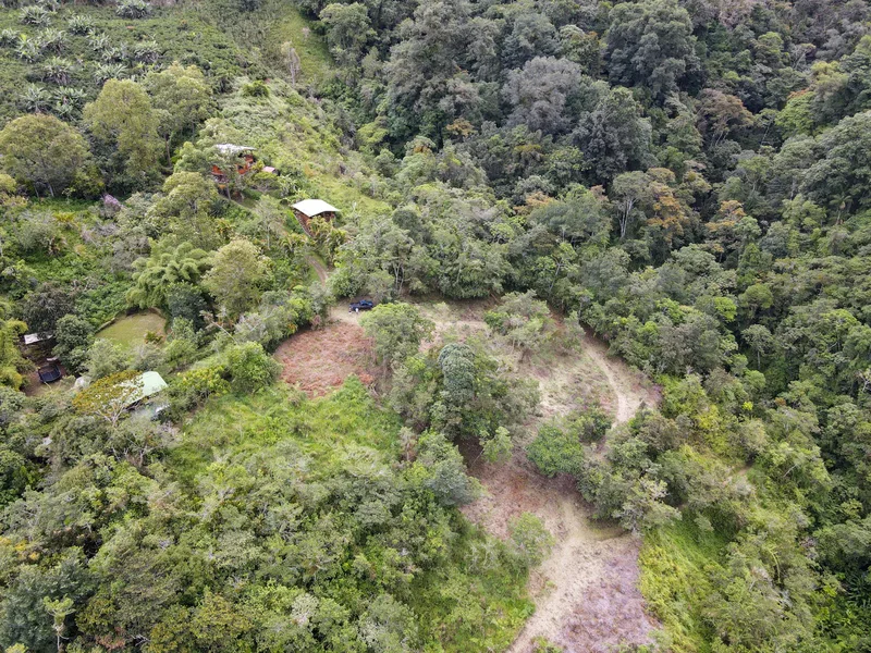 Land For Sale in Perez Zeledon, photo 4