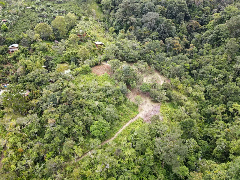 Land For Sale in Perez Zeledon, photo 5