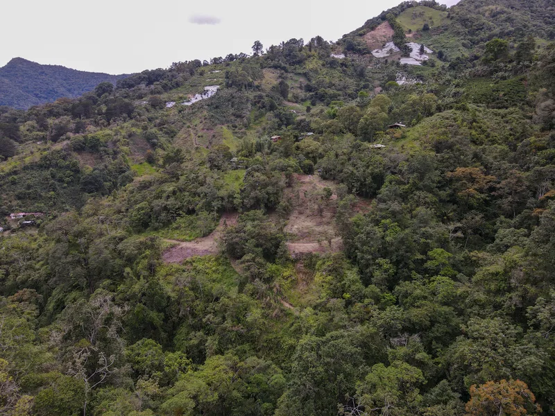 Land For Sale in Perez Zeledon, photo 8