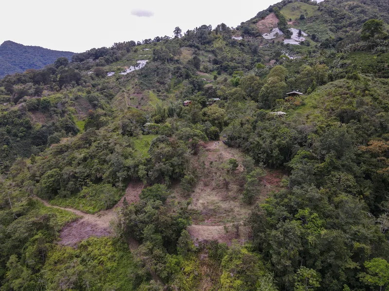 Land For Sale in Perez Zeledon, photo 9