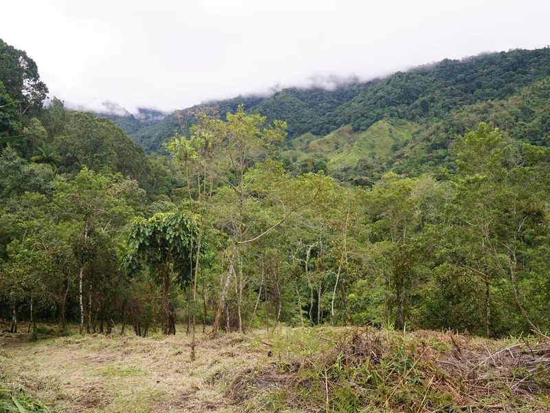 Land For Sale in Perez Zeledon, photo 10
