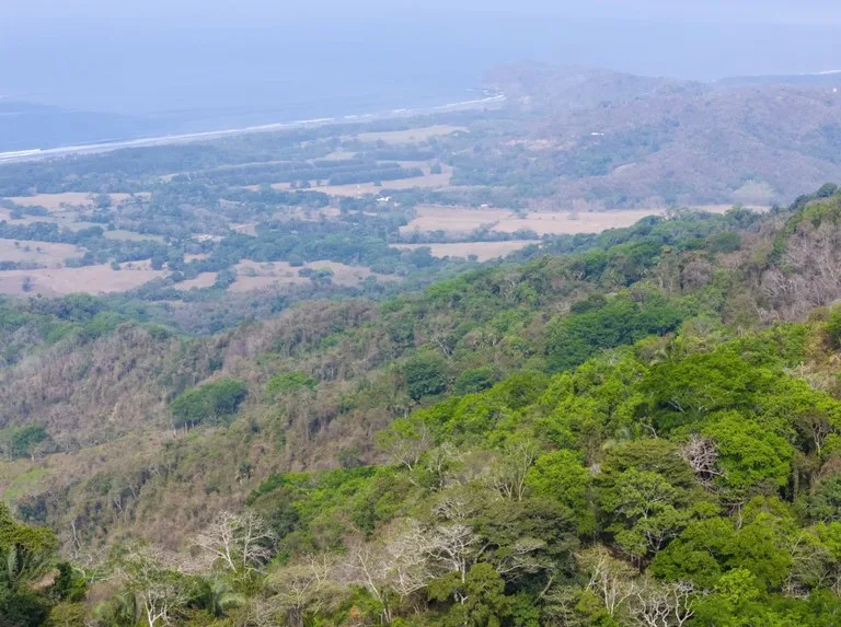 Ocean view farm for sale Costa Rica San Miguel Beach Costa de Oro, photo 2