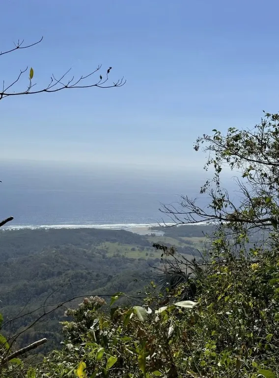 Ocean view farm for sale Costa Rica San Miguel Beach Costa de Oro, photo 12
