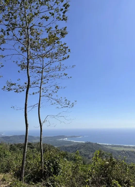 Ocean view farm for sale Costa Rica San Miguel Beach Costa de Oro, photo 13