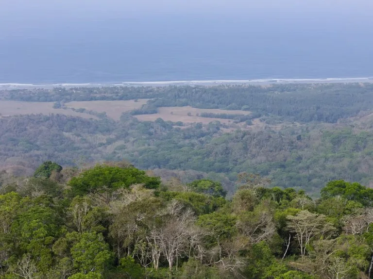 Ocean view farm for sale Costa Rica San Miguel Beach Costa de Oro, photo 3