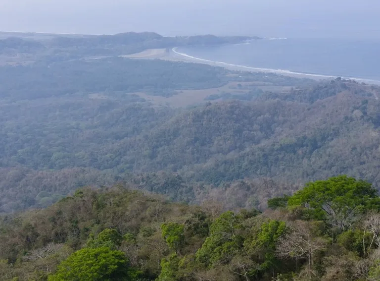 Ocean view farm for sale Costa Rica San Miguel Beach Costa de Oro, photo 4