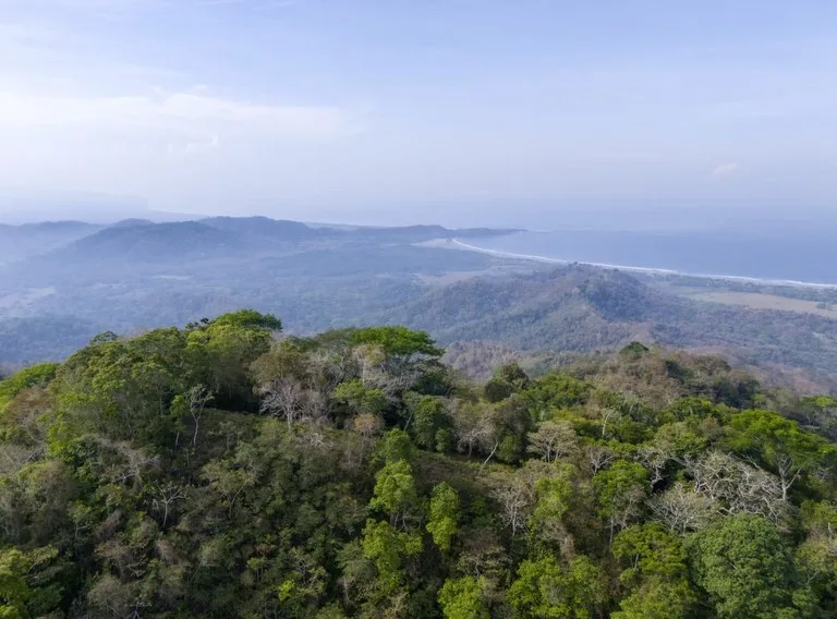 Ocean view farm for sale Costa Rica San Miguel Beach Costa de Oro, photo 5