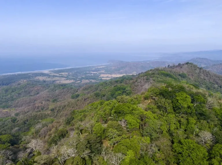 Ocean view farm for sale Costa Rica San Miguel Beach Costa de Oro, photo 6