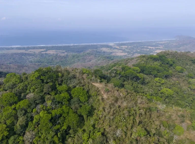 Ocean view farm for sale Costa Rica San Miguel Beach Costa de Oro, photo 7