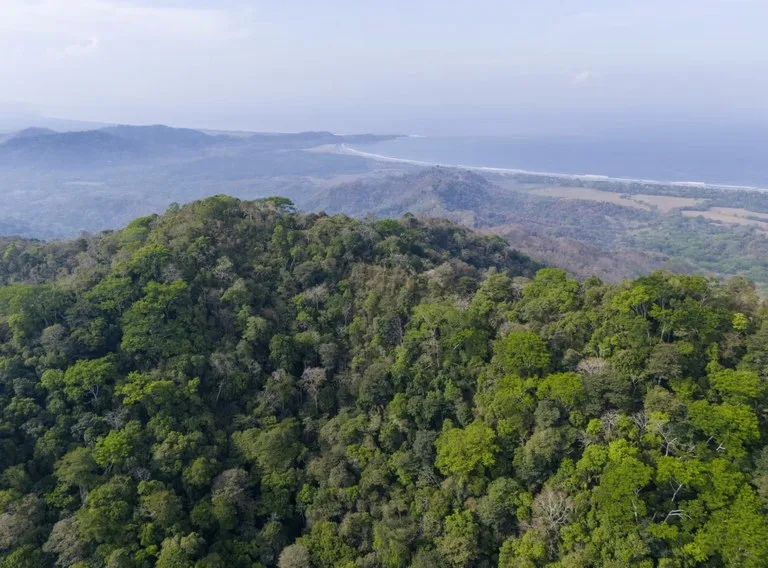 Ocean view farm for sale Costa Rica San Miguel Beach Costa de Oro, photo 8