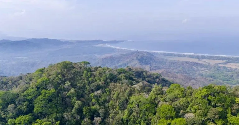 Ocean view farm for sale Costa Rica San Miguel Beach Costa de Oro, photo 9