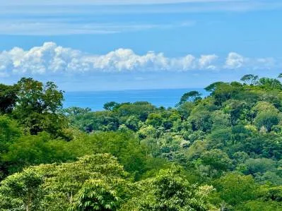 Stunning Residential Lots in Uvita - Panoramic Ocean & Mountain Views, photo 4